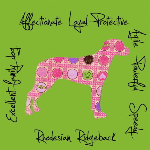 Rhodesian Ridgeback Dog Breed Traits Print