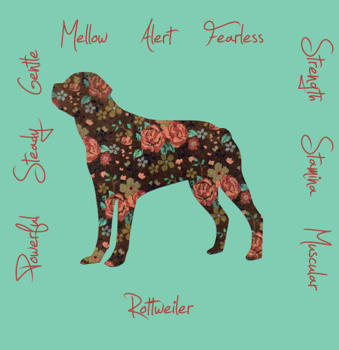 Rottweiler Dog Breed Traits Print