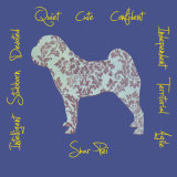 Shar Pei Dog Breed Traits Print