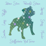 Staffordshire Bull Terrier Dog Breed Traits Print