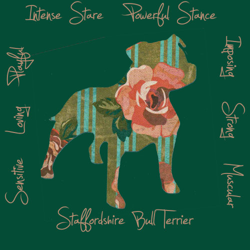 Staffordshire Bull Terrier Dog Breed Traits Print