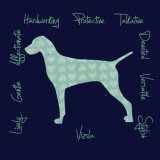 Vizsla Dog Breed Traits Print