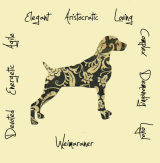 Weimaraner Dog Breed Traits Print