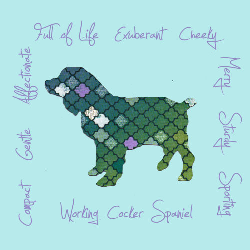 Working Cocker Spaniel Dog Breed Traits Print