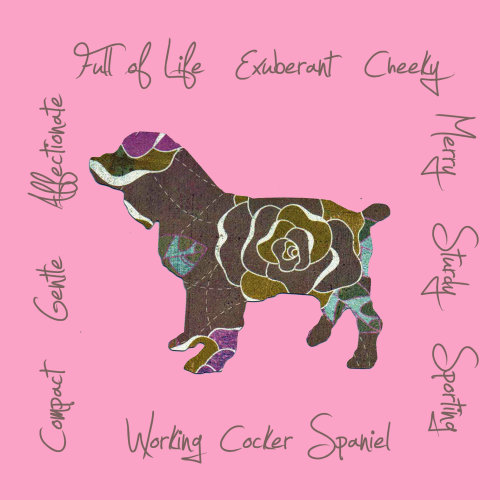 Working Cocker Spaniel Dog Breed Traits Print