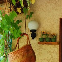 077-The Fruit Basket Salerne France