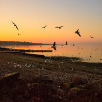 2762-Hampton Sunset