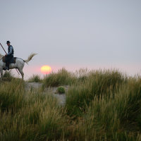 4155-On The Dunes Sunrise Un Gardian Almost Time To Go To Work