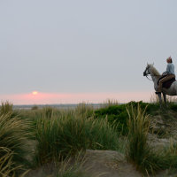 4164-1 On The Dunes Sunrise Une Gardianne Almost Time To Go To Work