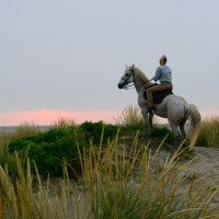 4168-2 On The Dunes Sunrise Une Gardianne Almost Time To Go To Work