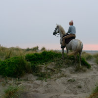 4177-Les Gardians On The Dunes Sunrise- Almost Time To Go To Work