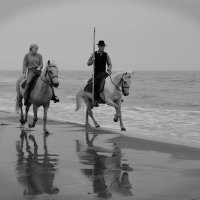 4203-Early Morning Les-Gardians Monochrome Sur La Sable-