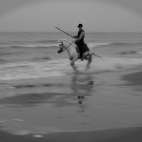 4251-Early Morning -Monochrome Sur La Sable Un Gardian 2