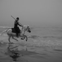 43781-1 Early Morning Monochrome Un Gardian In A Rush
