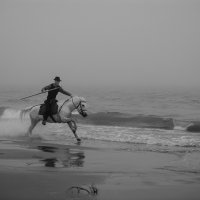 43811-1 Early Morning -Monochrome Un Gardian In A Rush