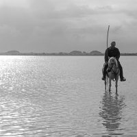 4540-Days Work Finished Monochrome Un Gardian