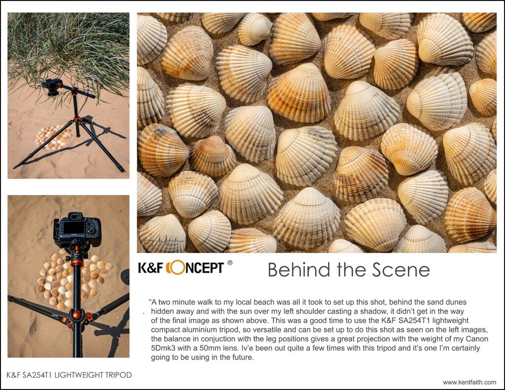 k&f behind the scene shells copy10