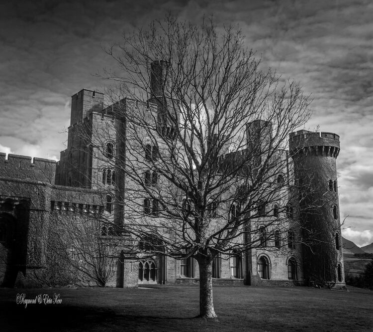 Penryn Castle