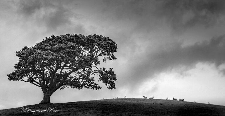 Standing Alone