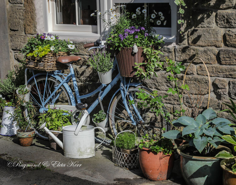 Pendle - Country Cottage