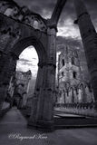 Fountains Abbey - Yorkshire