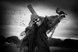 Scarecrow