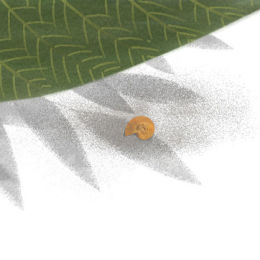 Shellborn, 'It's such a big shell...'