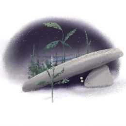 Shellborn, His shell became so crowded...