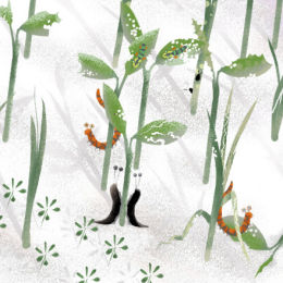 Shellborn, 'Nettles! No thanks...'