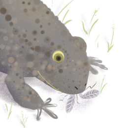 Shellborn , 'Eat your greens...'