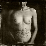 Nude with Allium