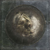 The Serendipitous Nature of Evolution II