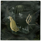 The Serendipitous Nature of Evolution IV