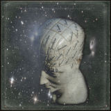 The Serendipitous Nature of Evolution VI