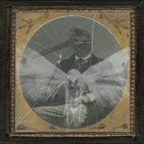 The Serendipitous Nature of Evolution I