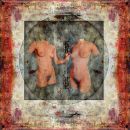 Somewhere I have Never Travelled