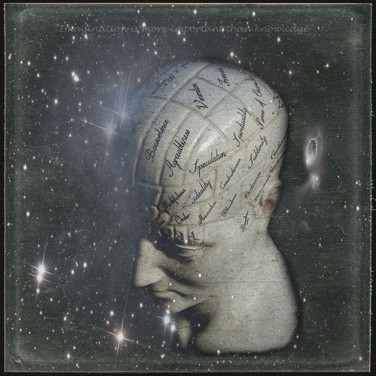 The Serendipitous Nature of Evolution