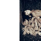 Flesh covers the bones