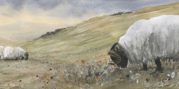 Ingram Valley, Northumbeland