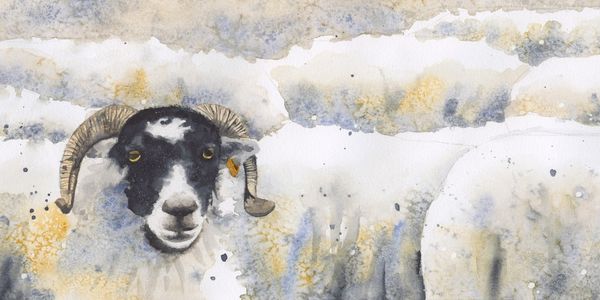 The watcher in the flock