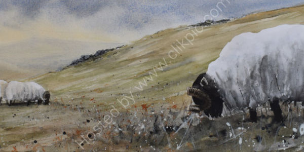 Ingram valley, Northumberland, fine art print