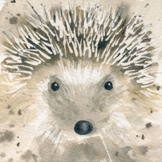 Mr Hedgehog, fine art print