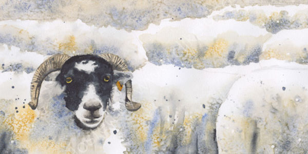 The watcher in the flock, fine art print