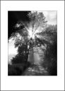 IT10002. Into the light.