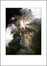 IT10003. Into the light.