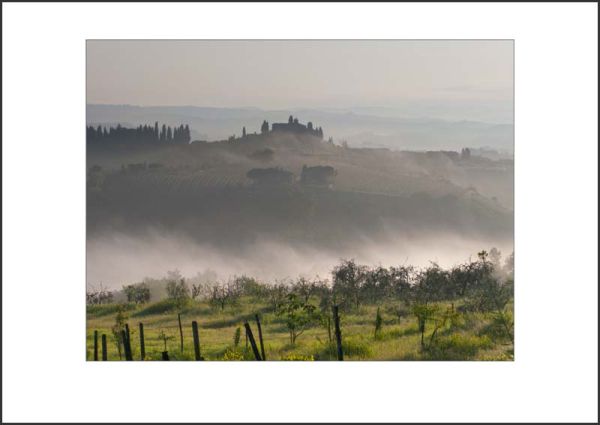 IT10007. Morning Mist, Tuscany