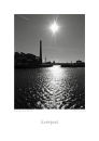 LA4 Canning Dock Sparkle