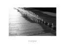 LA4 Old Dock Tides