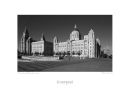LA4 Pier Head Architecture