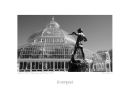 LA4 Palm House and Peter Pan